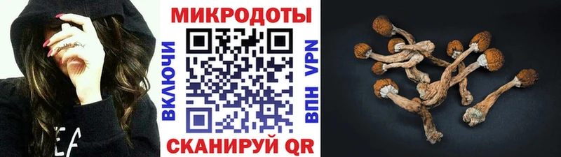 что такое наркотик  KRAKEN зеркало  площадка состав  Дыгулыбгей  Галлюциногенные грибы Cubensis 